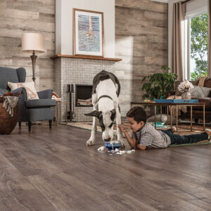 Can Fleas Live on Laminate Flooring