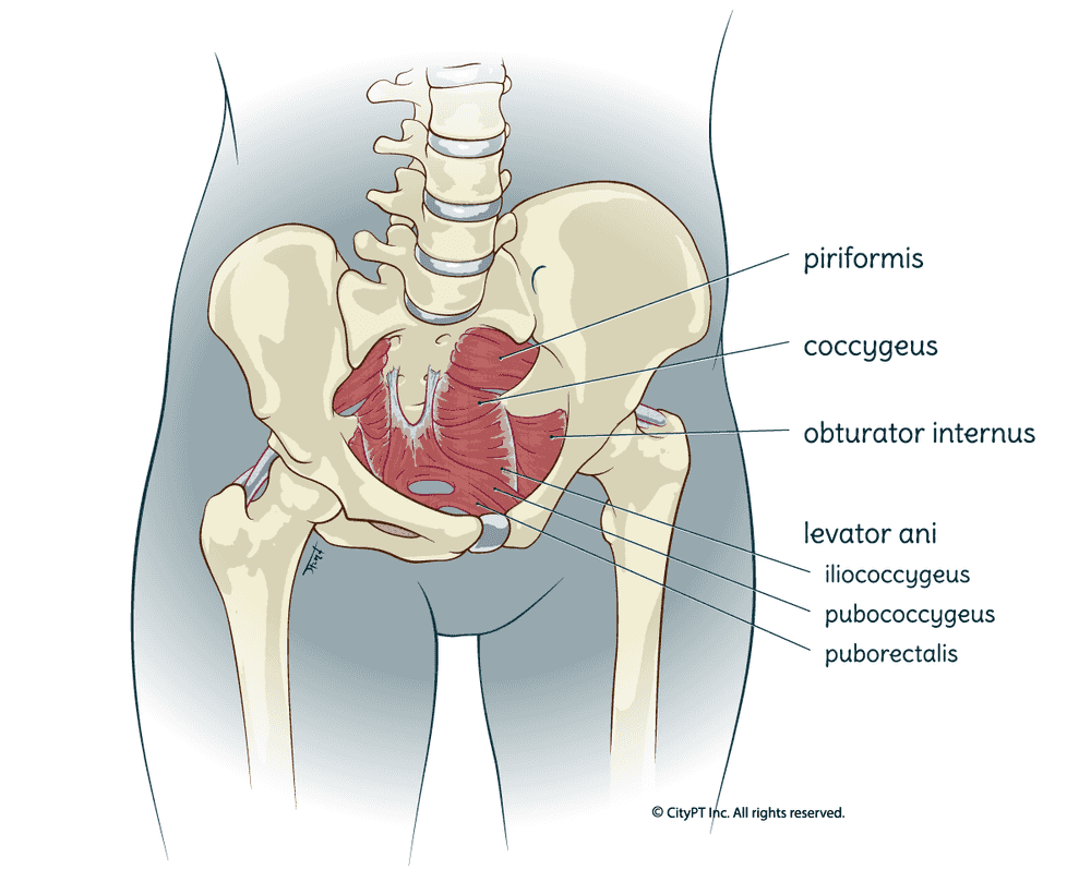 Does Insurance Cover Pelvic Floor Therapy