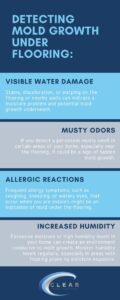Is Mold under Flooring Dangerous
